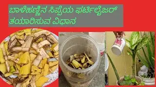 Banana peel fertilizer - Home fertilizer ll How to make Banana peel fertilizer l Organic fertilizer