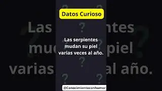 LO SABIAS? #viral #datocurioso #humor #curiosisimo #timelapse #datosinteresantes #datos #follow #fyp
