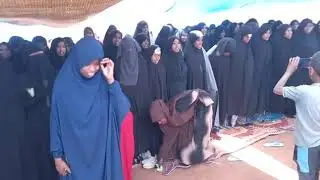 maadda haraashi jamma barattoota shamarrani tan dubraa warra hin heerumin tan caaltuun tofiq barsitu