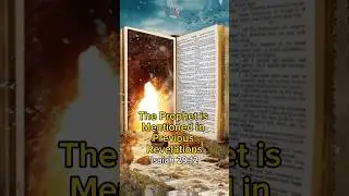 Why is Islam the Right Path #islam #youtubeshorts #youtube