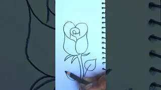 Easy Rose Pencil✨ #drawingb 🎨 #stepbystep @Muskan_Pushkar