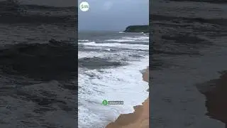 10 Guntha Private Beach Touch Plot for Sale - Undi Village, Ratnagiri #konkanpropertyexpo #beachplot