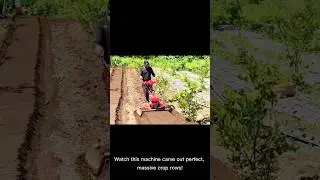 mini tiller magic perfect garden beds in seconds 💨 #minitiller #tractor #agriculture #shorts