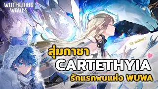 Wuthering Waves | สุ่มกาชา Cartethyia รักแรกพบครั้งที่ 1 แห่ง WUWA