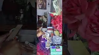 Они предпочли птиц вам, и теперь им нужна ваша помощь...