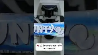 🍫🔬Bounty under the microscope #microscope #underthemicroscope