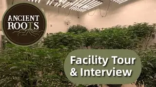 A Tour Through Ancient Roots With CEO David Haley
