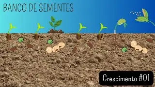 Crescimento do banco de sementes de plantas daninhas - parte 1