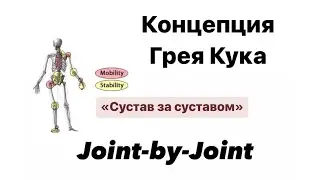 Концепция физиотерапевта Грея Кука (Gray Cook) &laquo;Сустав за суставом&raquo;.