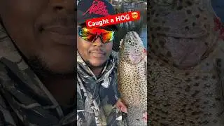 Freezer full of fish! #fyp #fishing #rainbowtrout #outdoors #nature #productreview #catchandcook