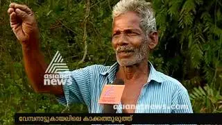 Kakkathuruthu ; a Beautiful island from Alappuzha