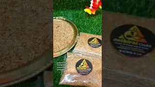 Anugraha Nayuruvi Seeds / Prickly Chaff flower /Achyranthes Aspera Seeds &ndash;Packaging: 100g packet