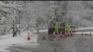 Fallen tree brought down wires, sparked fire in West Springfield