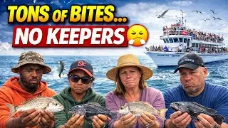 NONSTOP BITES&hellip; Almost NO Keepers 😤 | Ocean Princess Headboat (MD) 29 November 2025