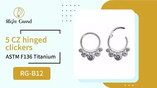 Right Grand ASTM F136 Titanium Bezel Set 5CZ Implant Grade Hinged Nose Segment Clicker RG B12