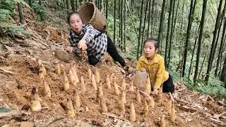 Harvesting the first bamboo shoots of the season and taking them to sell, cook | Lý Tiểu Vy