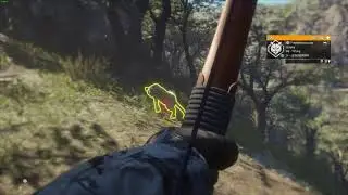 The Hunter: Call of the Wild | Alexander Longbow SloMo | 9-Legendary Puma | #shorts​