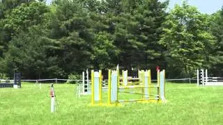 Mor Linn Farm Classic
