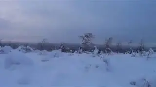Kinahmi Vapaalasku!