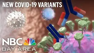 New COVID-19 Variants Emerging Before Winter