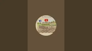 SAN MARCOS Y SUS ALREDEDORES  está en vivo