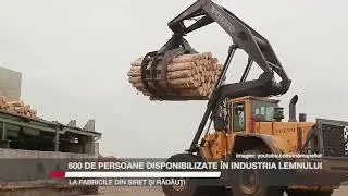 600 de persoane disponibilizate &icirc;n industria lemnului, la fabricile din Siret și Rădăuți