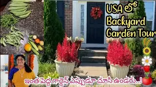 USA లో Garden tour ! ఎప్పుడైనా విదేశాలలో ఇంత పెద్ద గార్డెన్ చూసారా? Backyard garden Tour @USA