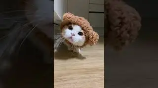 Time change everything|| #shorts #youtubeshorts #sad#funny#cat #animals #kids #inspiration #broken