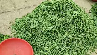 Fresh vegetable market #baripada ##odisha #viralvideo #india
