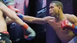 HOLLYWOOD FIGHT NIGHTS!