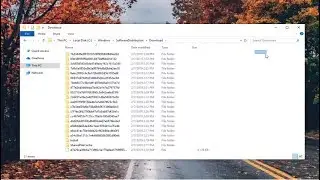 How to Fix This Device Cannot Start. (Code 10) Error [Windows 10/8.1/8/7]