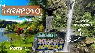 VIAJE A TARAPOTO CON MI PUG - PARTE 1