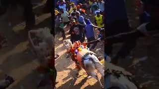 chandrappa Udugani 9740550158