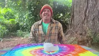 Step 2 eight fold path education