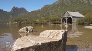 Cradle Mountain National Park Tasmania
