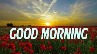 Morning status video/watsapp status/Saturday status/ Good morning whatsapp status