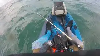 #IBobber Saltwater #Kayak Fishing Does It Work? - Myrtle Beach