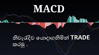 How to Use MACD Indicator Sinhala MACD Strategy.