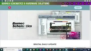 Borrneo schematic  option not  showing fix
