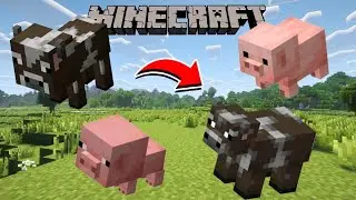 MINECRAFT 26.1 - New Pets in MINECRAFT! New cows, pigs, and sheep - LOTS OF NEW FEATURES!