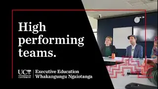 High Performing Teams | UC Executive Education Courses