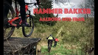 MTB - Hammer Bakker - Aalborg