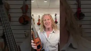 Fretted Violins?