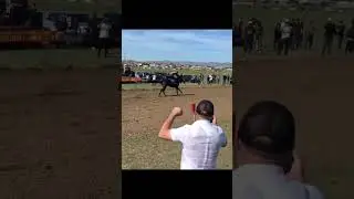 1600м 3х летки ГРАЖДАНИН 👍🏻🏆