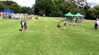New Hereworth School Shotput Record 2011