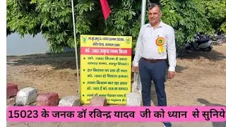 15023के ब्रीडर डाॅ रविन्द्र यादव जी ने इस वैरायटी के बारे मे दी पूरी जानकारी#techkisanfarming#15023
