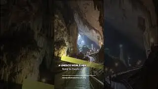 Cradle of Humankind: The Secrets of Our Origins Finally Revealed #AlkebulanTours #SterkfonteinCaves