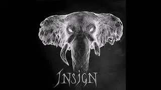 Insign - Journey Through My Brain