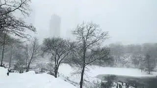 Winter Storm Impact In New York,USA |