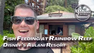 Fish Feeding | Rainbow Reef at Disney's Aulani Resort